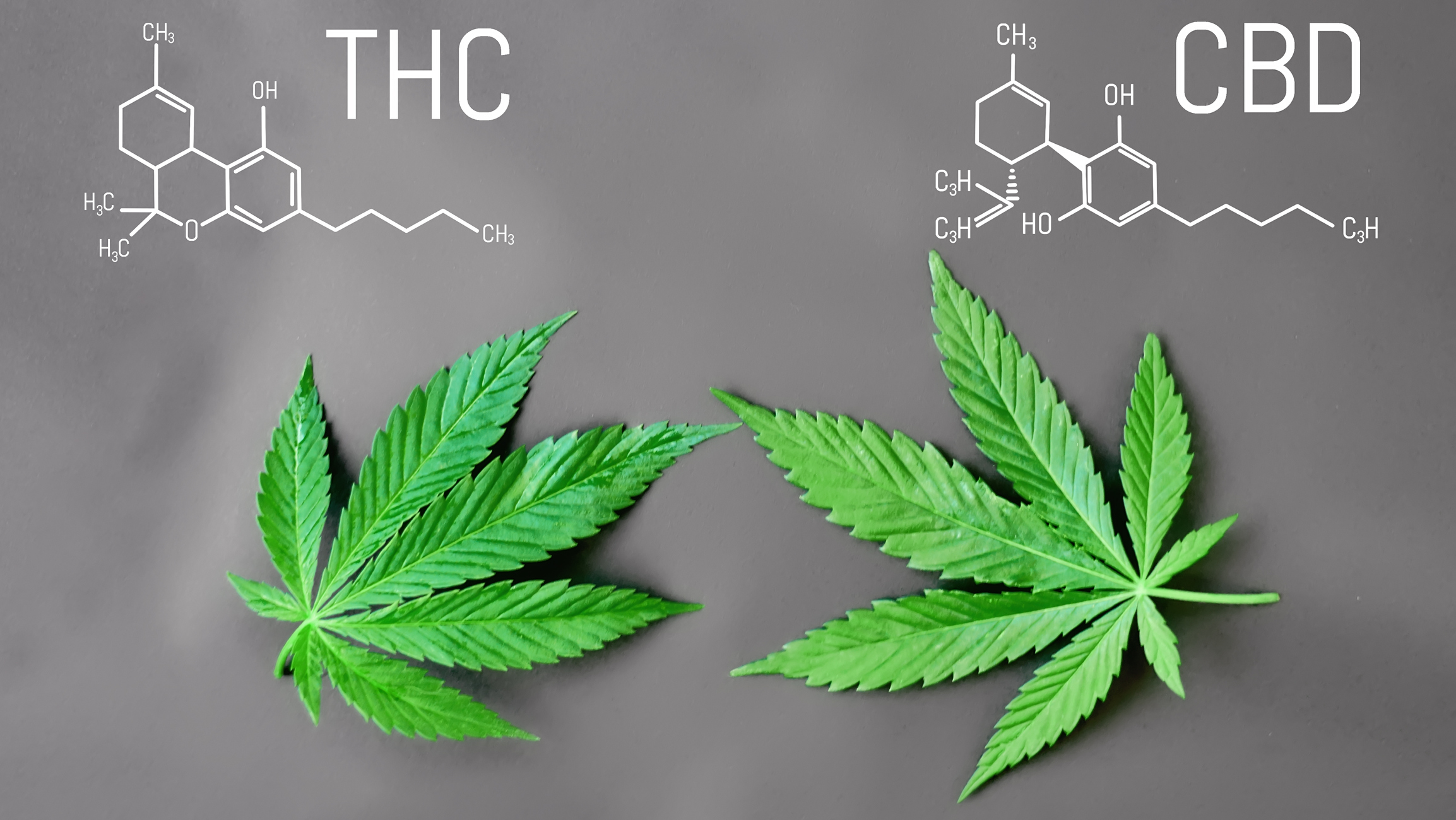 what is full spectrum cbd 